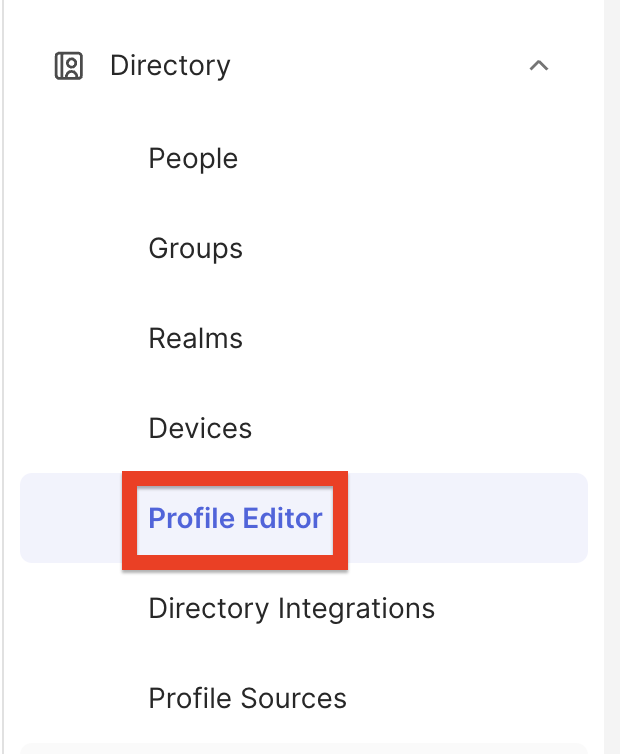Profile Editor section