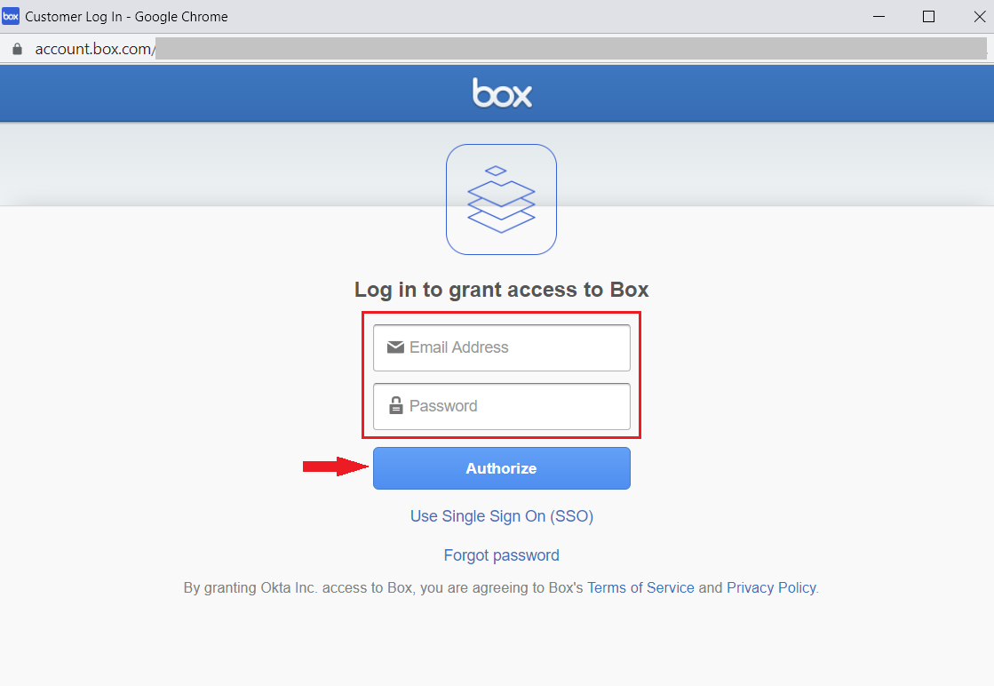 "Authorize" button