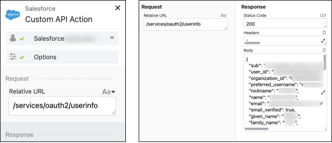 Salesforce Connector