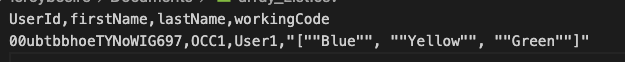 CSV File