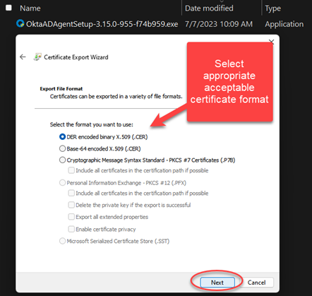 Select Export Certificate Format and click Next