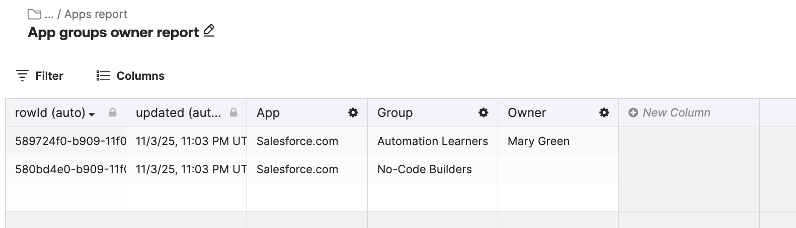 Screenshot of table showing groups assigned to an app and group owners