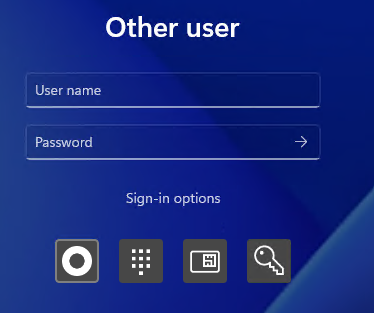 multiple sign-in options