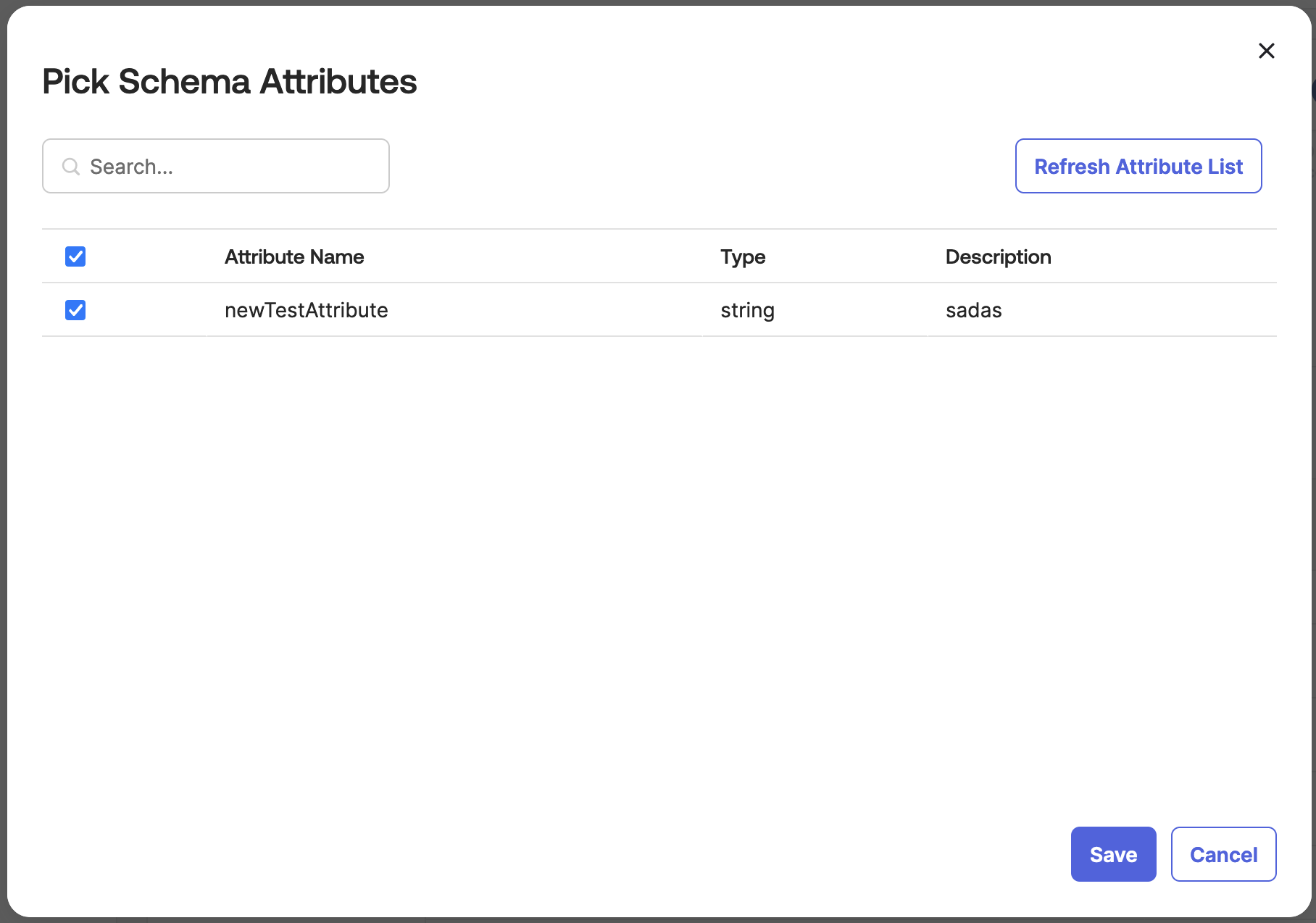 Schema Attributes