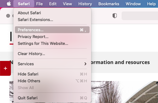 Safari Preferences