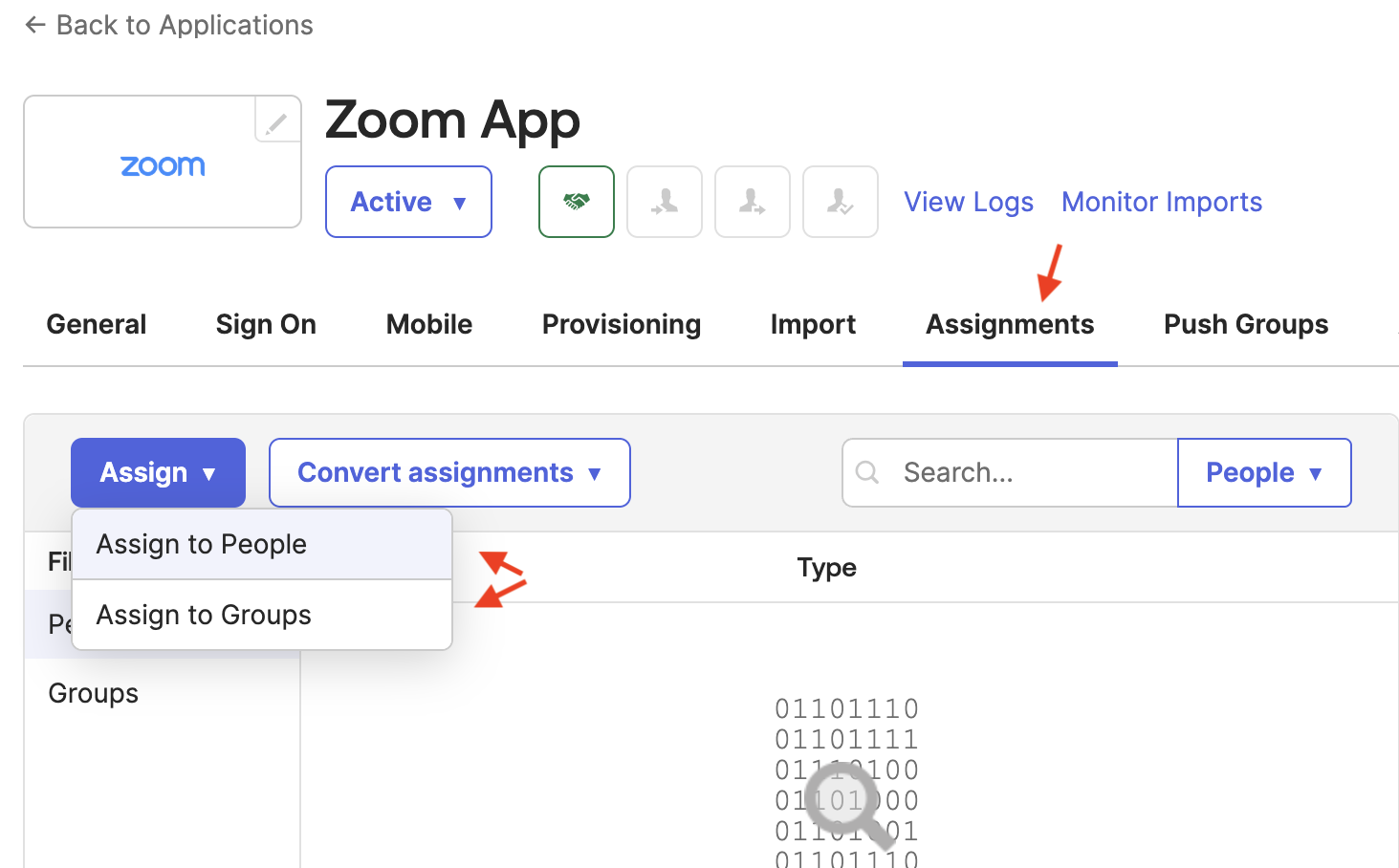 Zoom Assignments