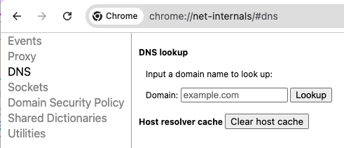 DNS lookup